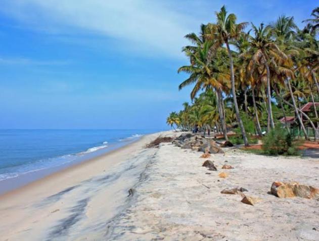 Marari La Rose Beach Homestay Mararikulam Eksteriør bilde