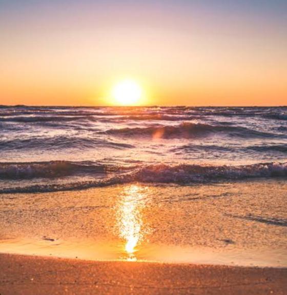 Marari La Rose Beach Homestay Mararikulam Eksteriør bilde