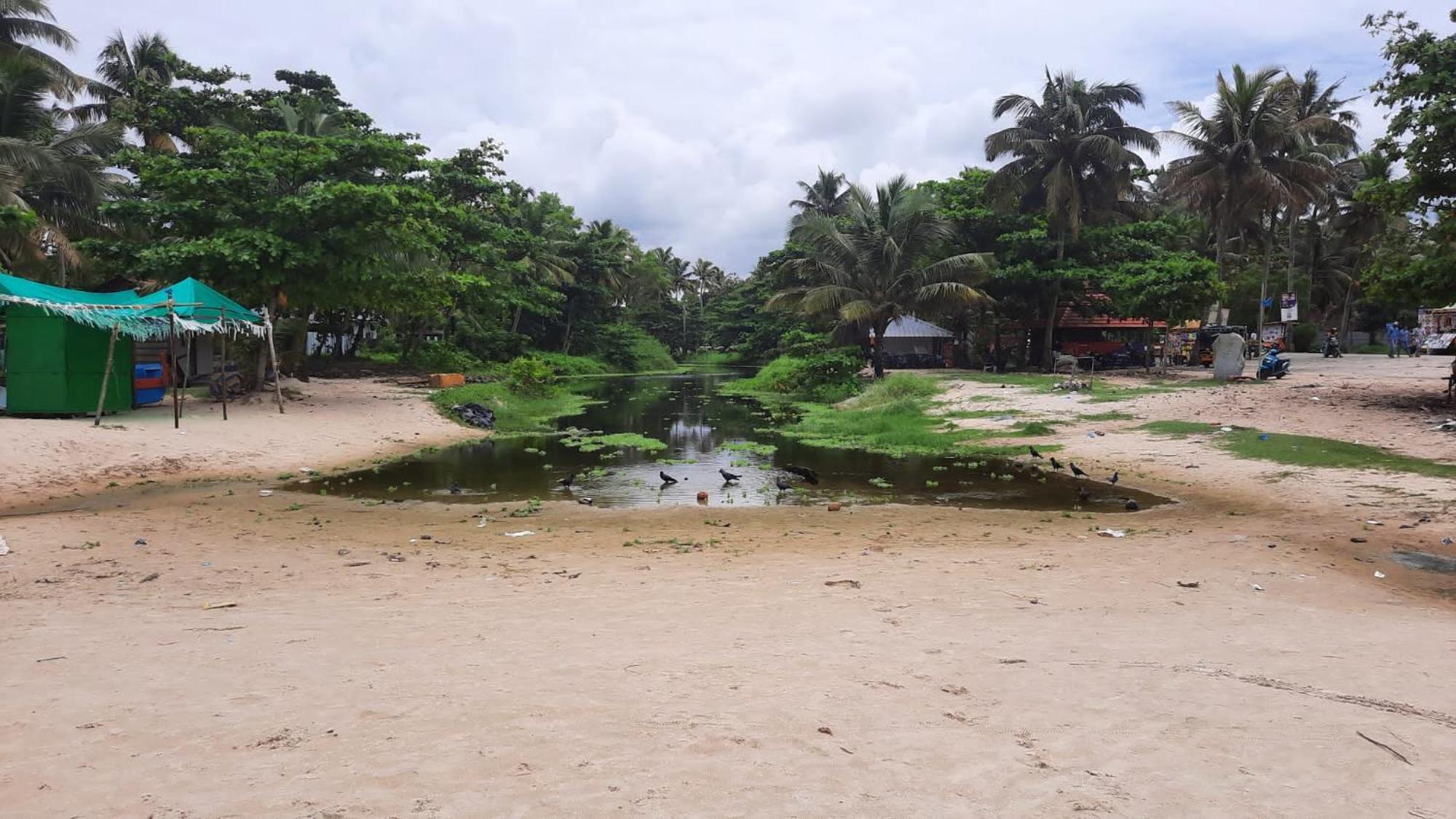 Marari La Rose Beach Homestay Mararikulam Eksteriør bilde