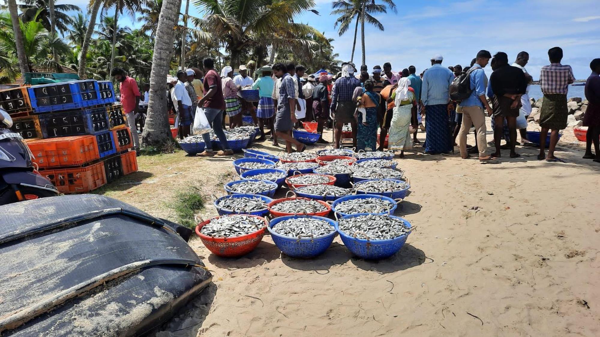 Marari La Rose Beach Homestay Mararikulam Eksteriør bilde